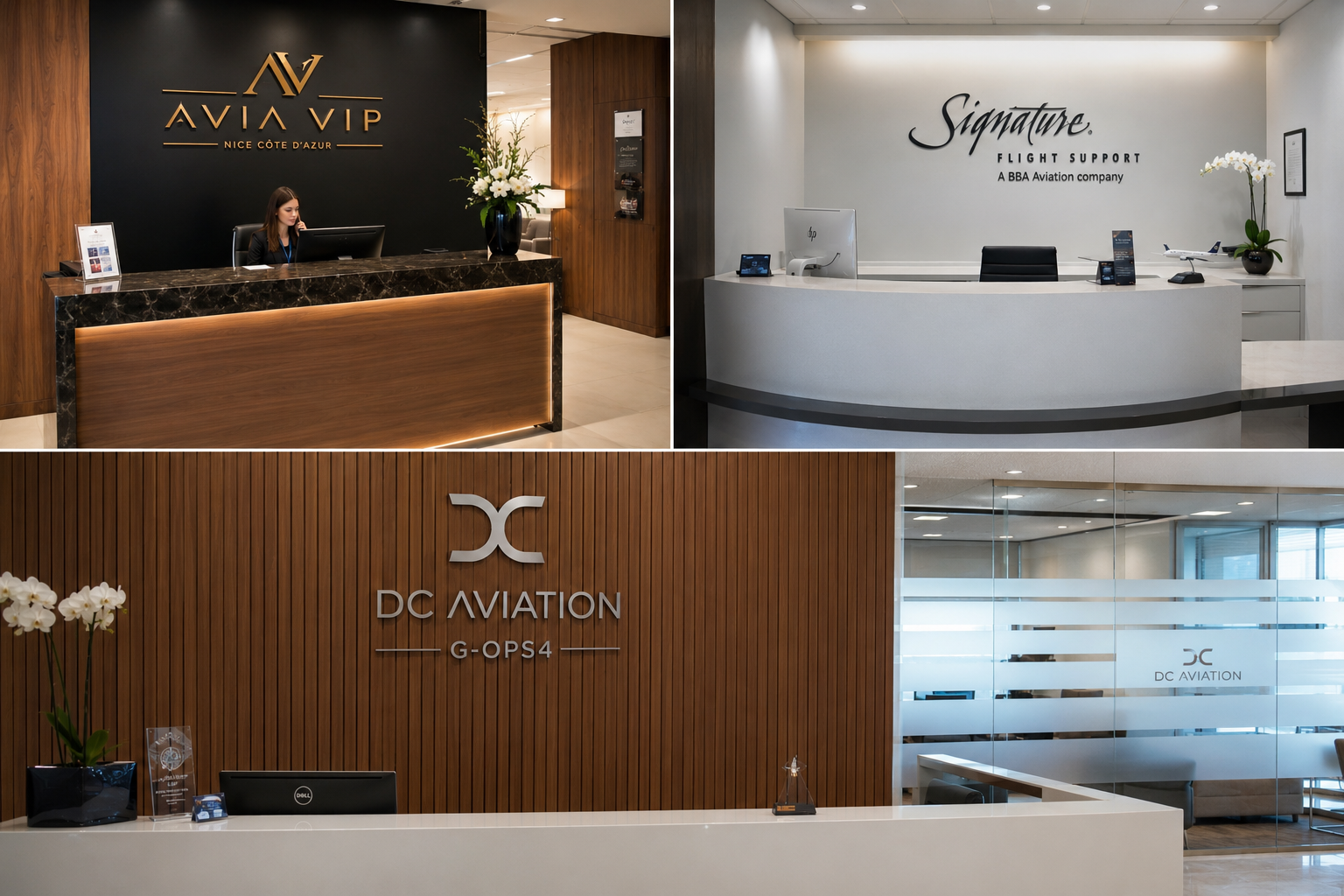 Terminal Aviation d'Affaires Nice &mdash; Avia VIP, Signature Flight Support et DC Aviation G-OPS4
